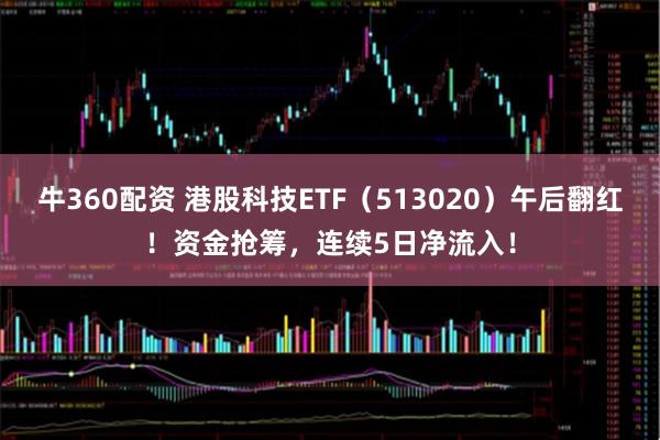 牛360配资 港股科技ETF(513020)午后翻红!资金抢筹,连续5日净流入!
