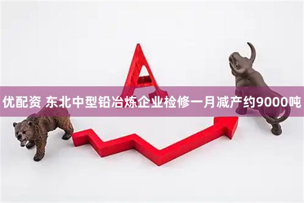优配资 东北中型铅冶炼企业检修一月减产约9000吨