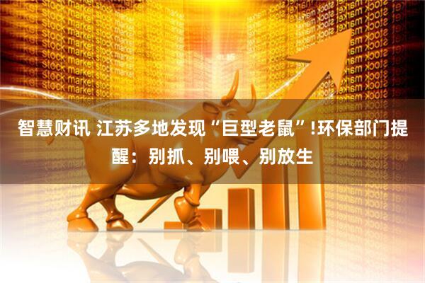 智慧财讯 江苏多地发现“巨型老鼠”!环保部门提醒：别抓、别喂、别放生